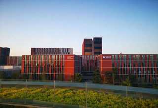 黑龙江绿色海藻肥改善土壤