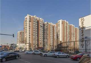 扶鹰教育孩子叛逆如何管理