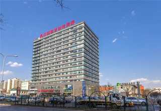 浦东新区专业苗木销售承包